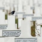 Soldatenfriedhof Douaumont (Verdun)