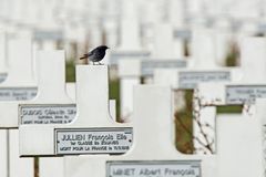 Soldatenfriedhof Douaumont (Verdun)