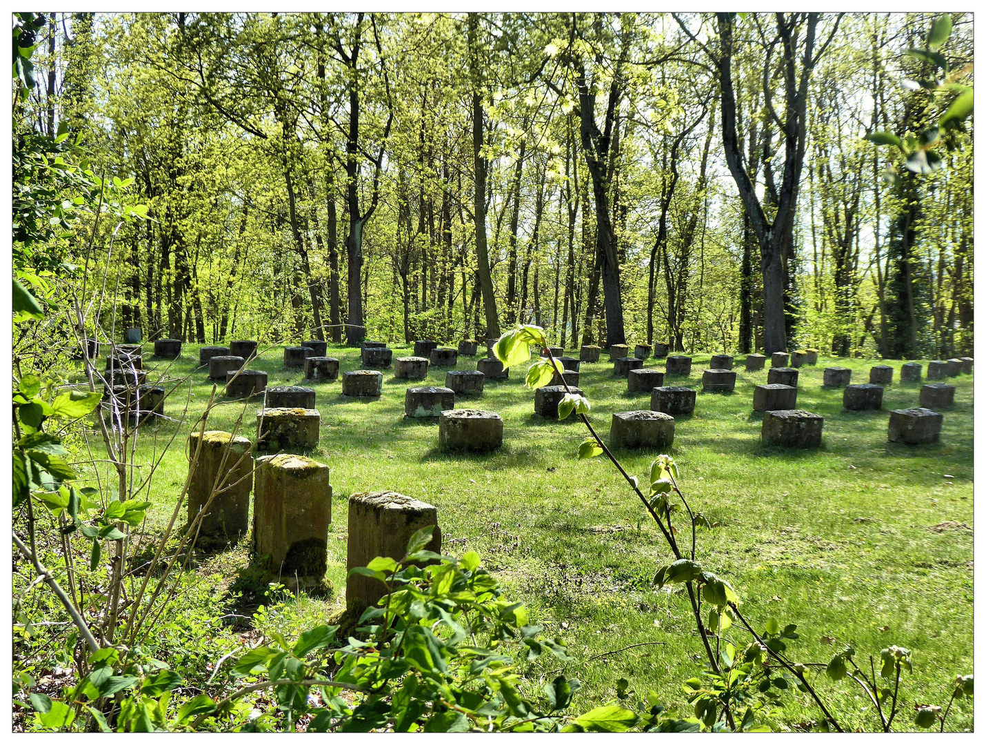 Soldatenfriedhof Fürth