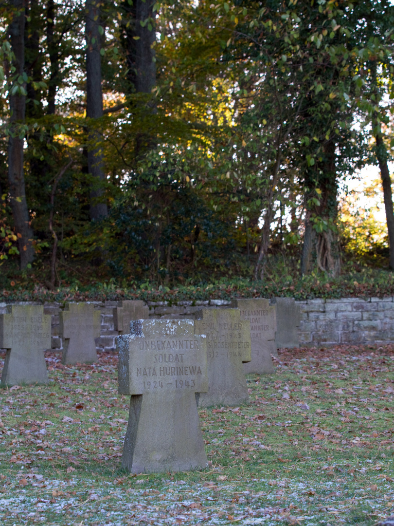 Soldatenfriedhof Mariawald im Nationalpark Eifel