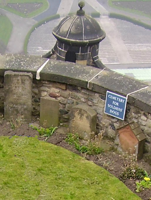 Soldiers dog cemetery