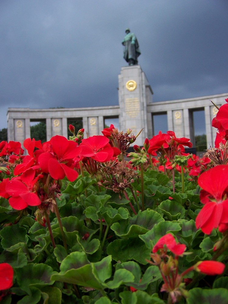 Soldiers in full bloom