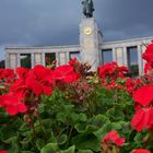 Soldiers in full bloom