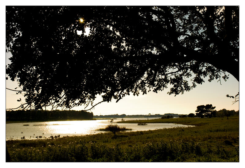 Sole, acqua, cielo e terra.