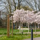 Sole-Aktiv-Park im Frühling