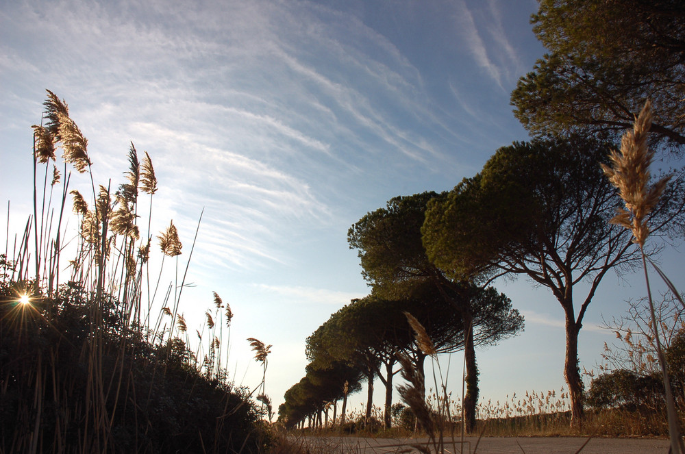 Sole di Gennaio