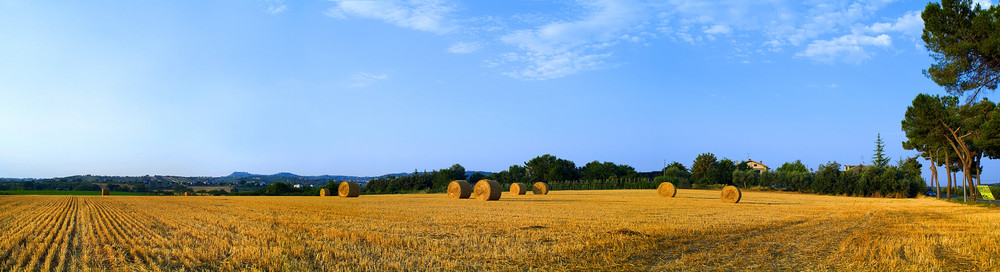 sole di paglia