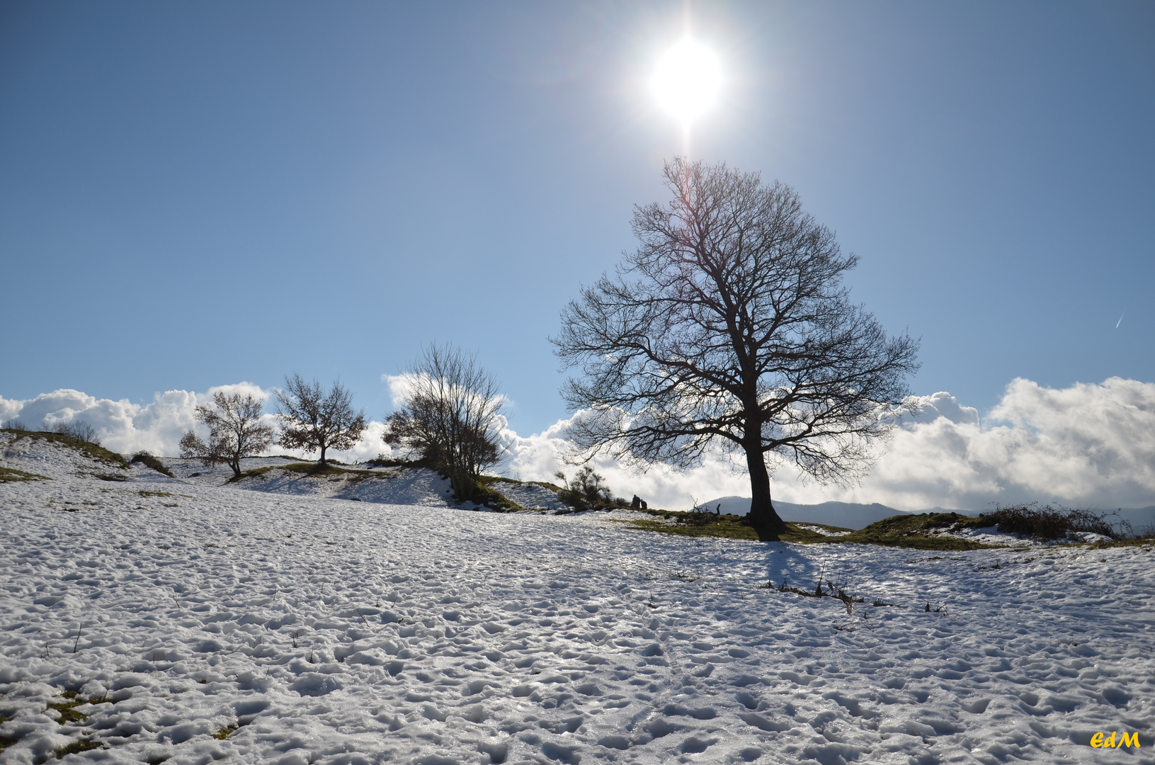 sole e neve