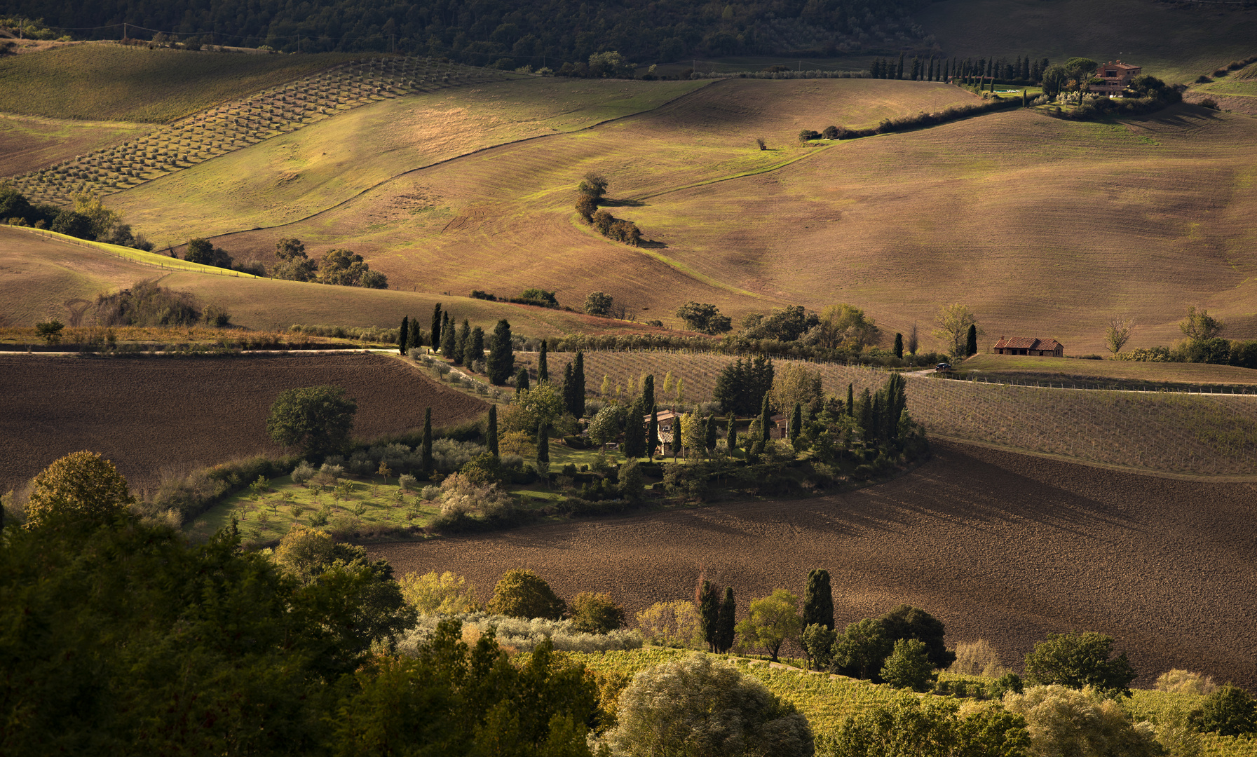 Sole e Terra