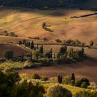 Sole e Terra