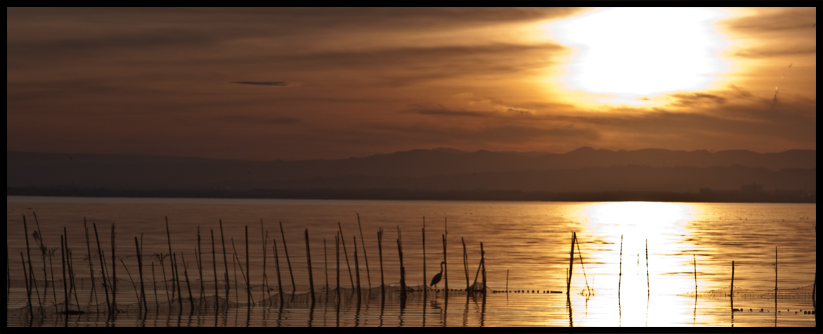 soledad crepuscular