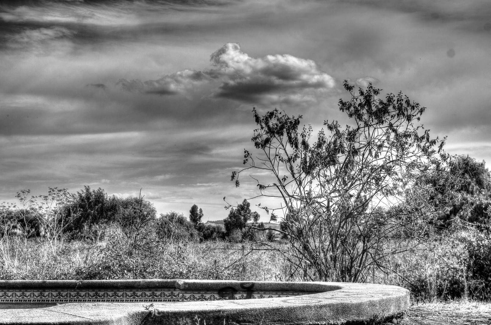 Soledad en blanco y negro