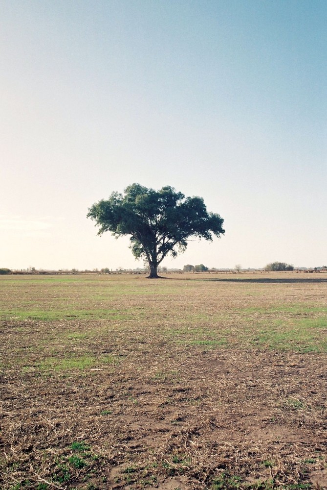 Soledad en la llanura