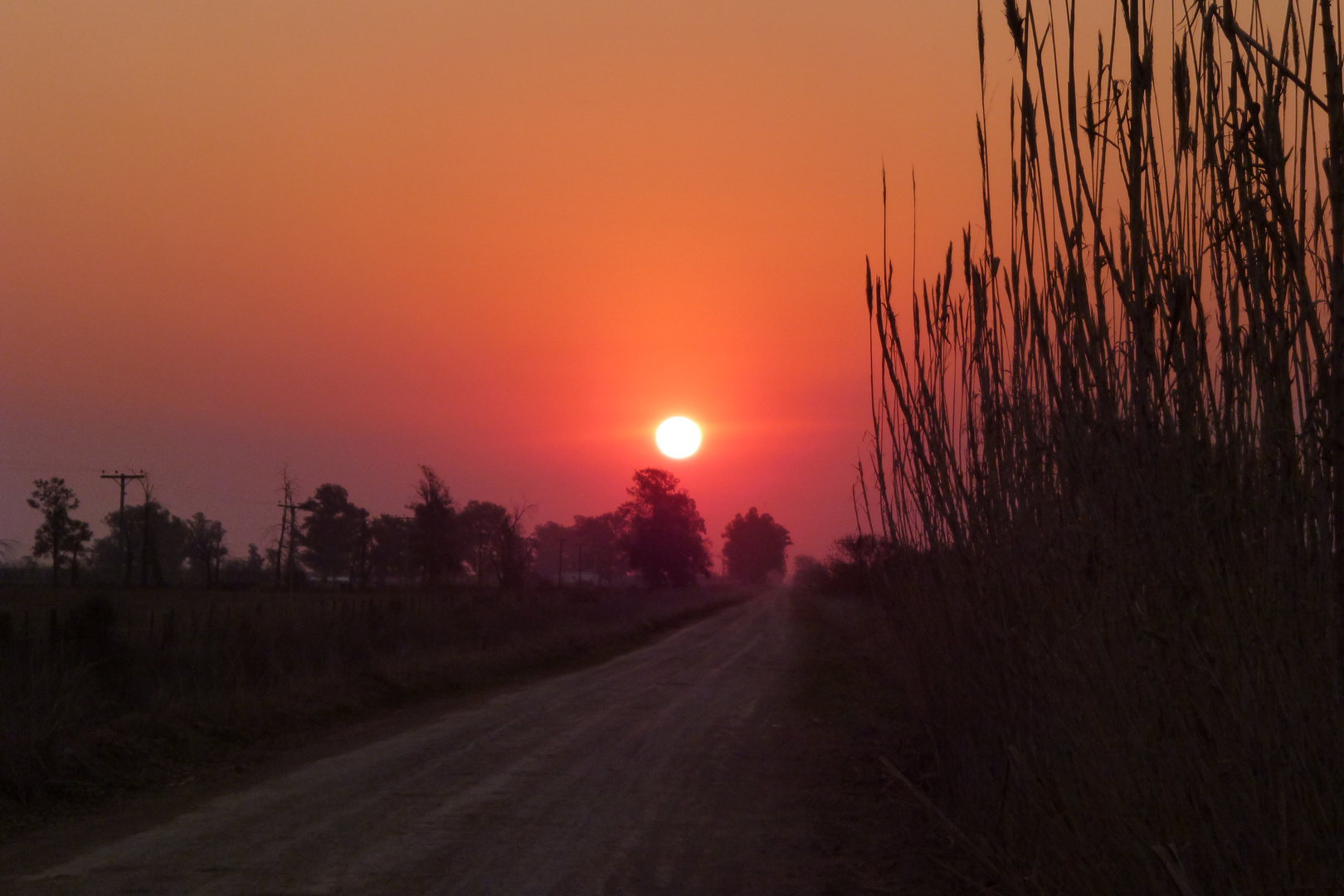 Soledades de atardecer sombrío