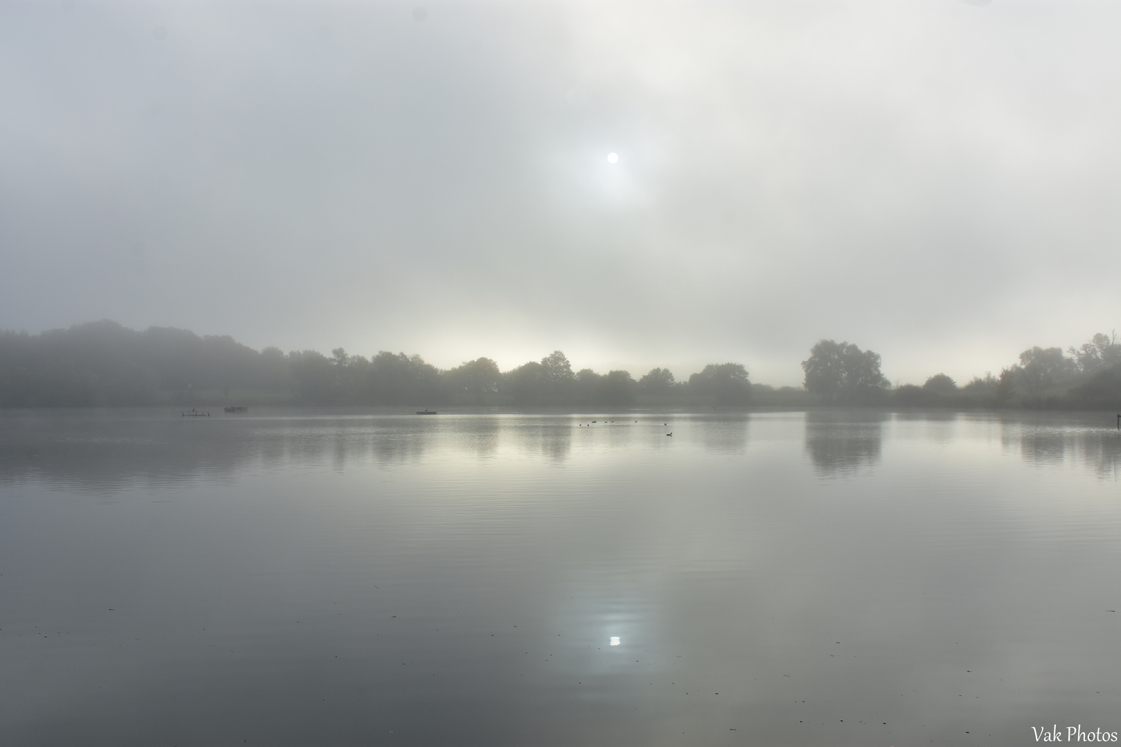 Soleil à travers la brume