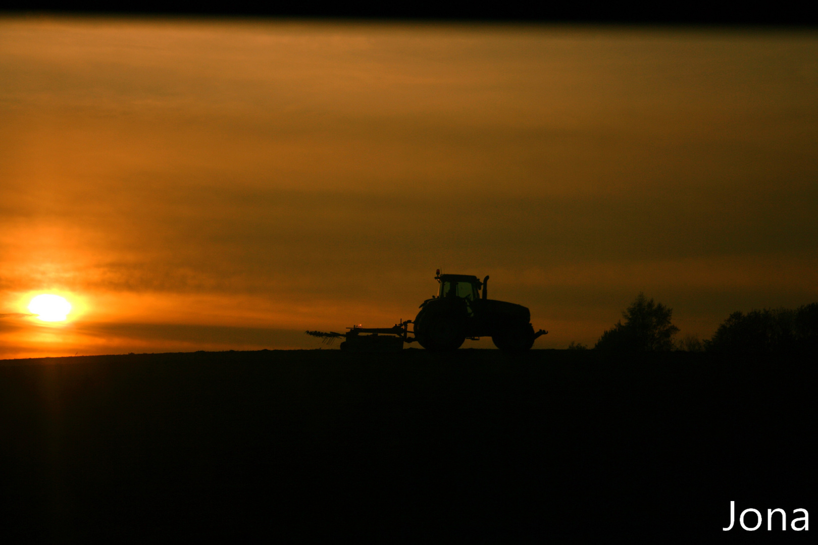 Soleil, compréhension d'une culture agricole