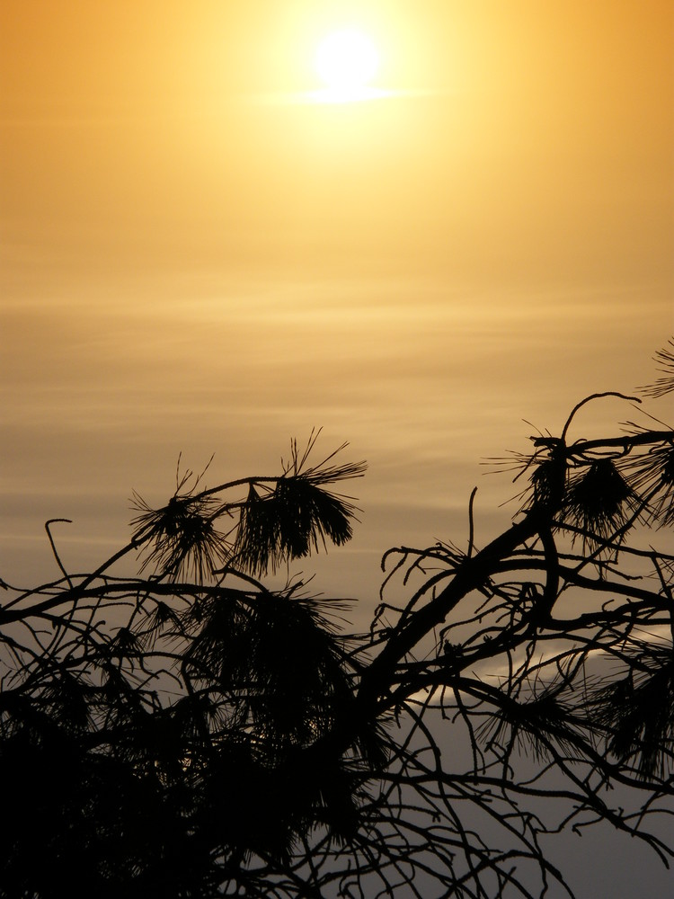 soleil couchant à l'envers