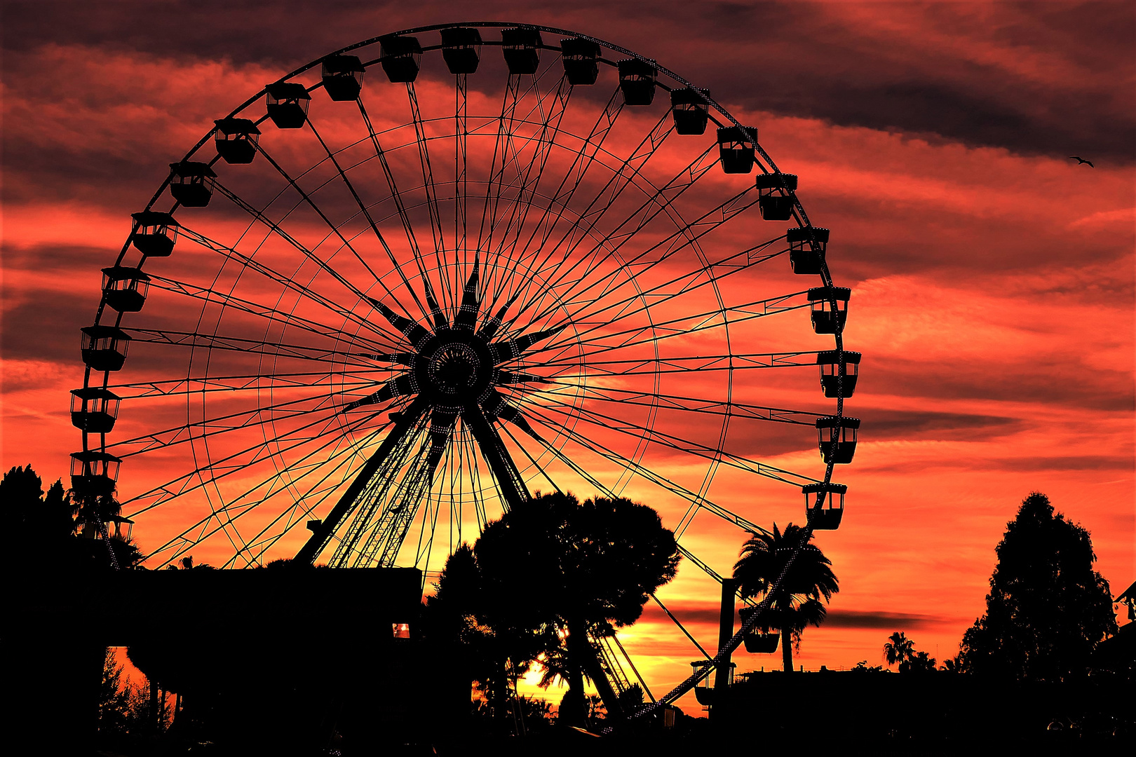  soleil couchant à Nice 