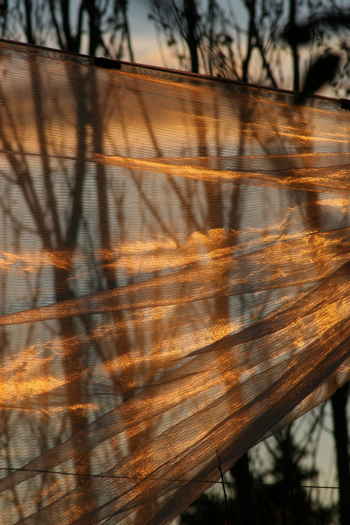 Soleil couchant dans les filets 