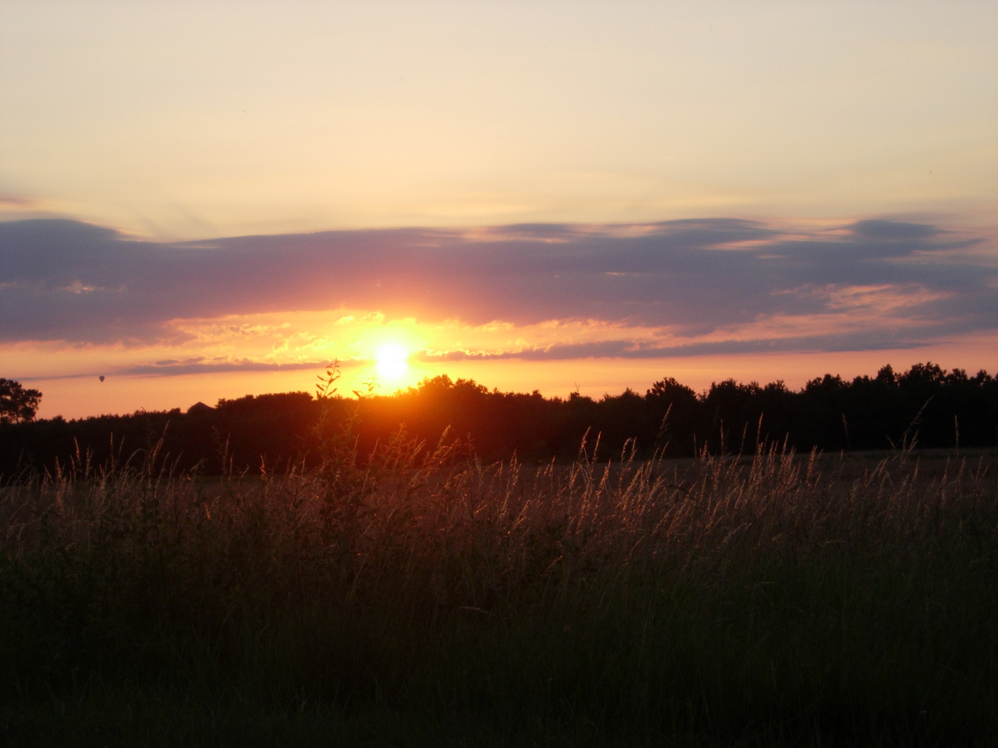 Soleil couchant en bord de la Loire