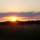 Soleil couchant en bord de la Loire