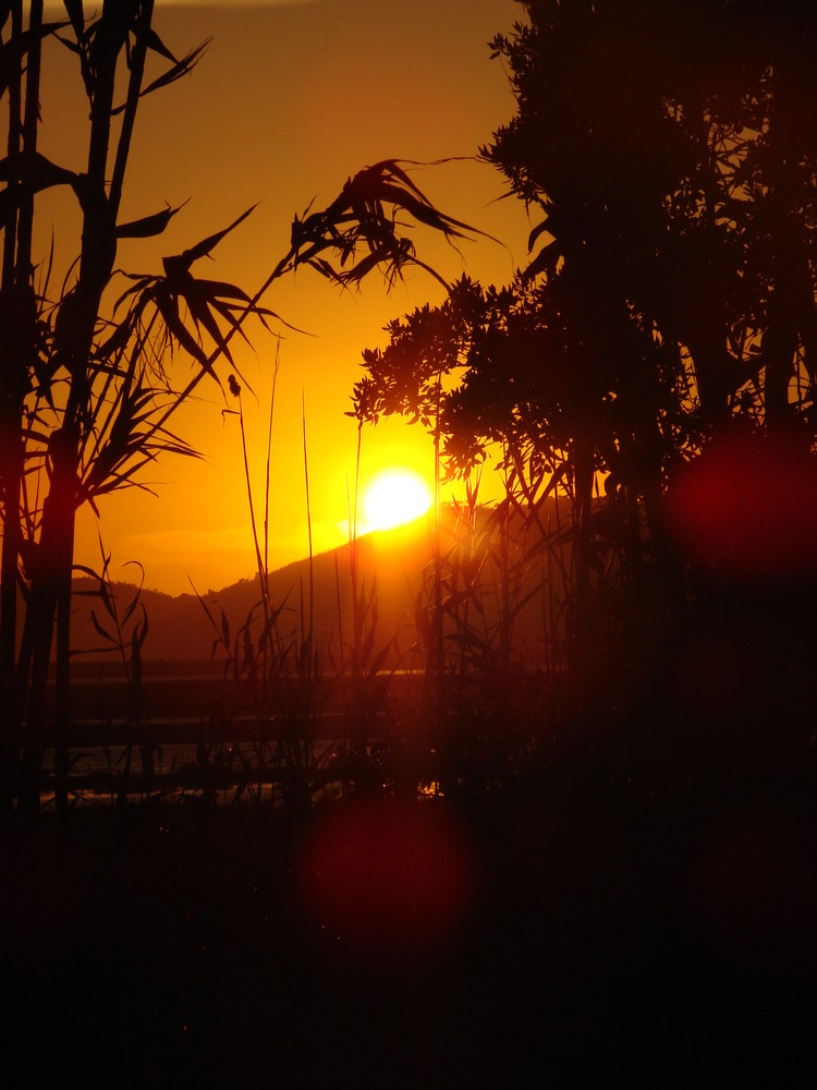 soleil couchant sur la presqu'île de Hyéres