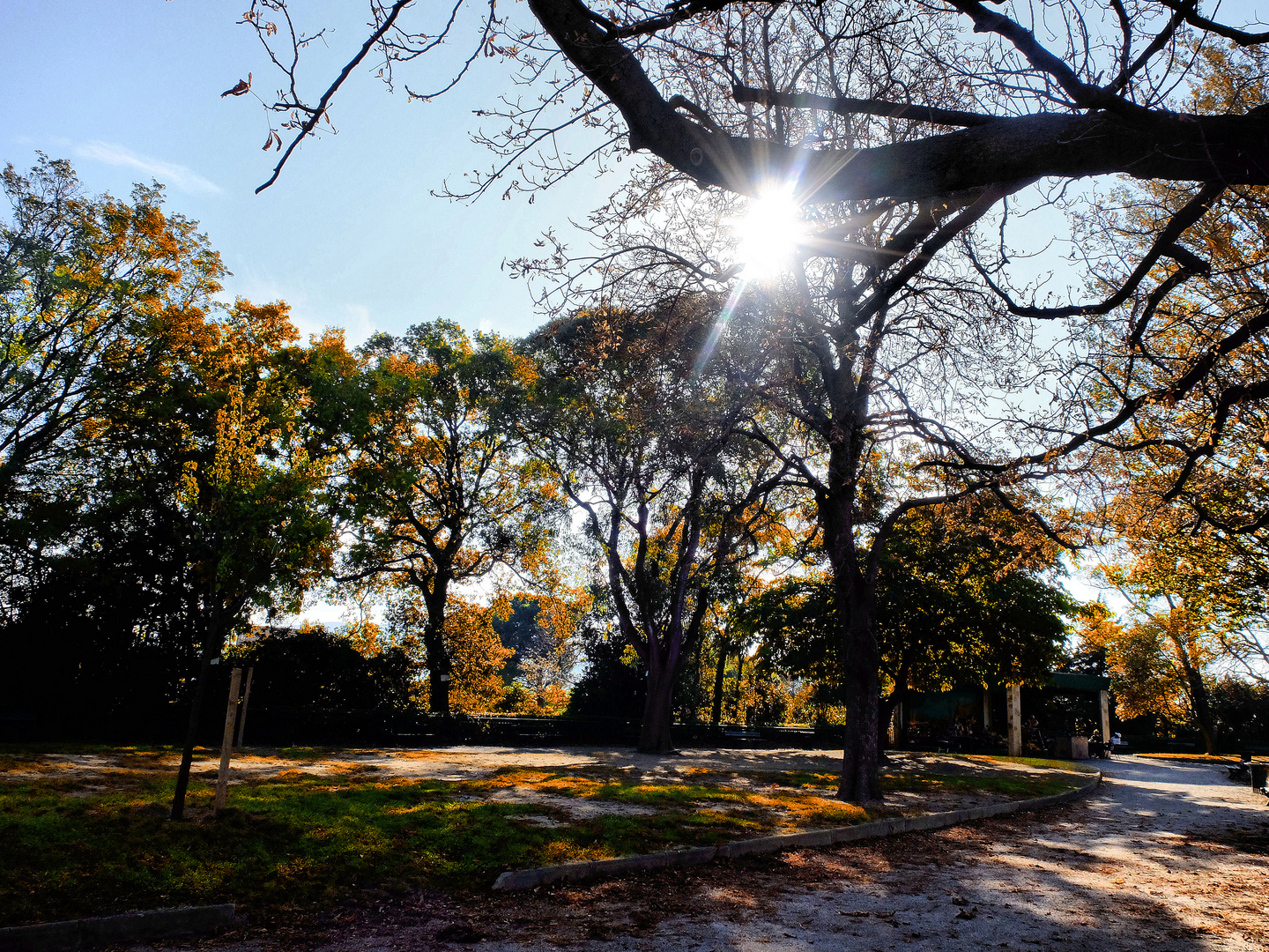 Soleil d'automne