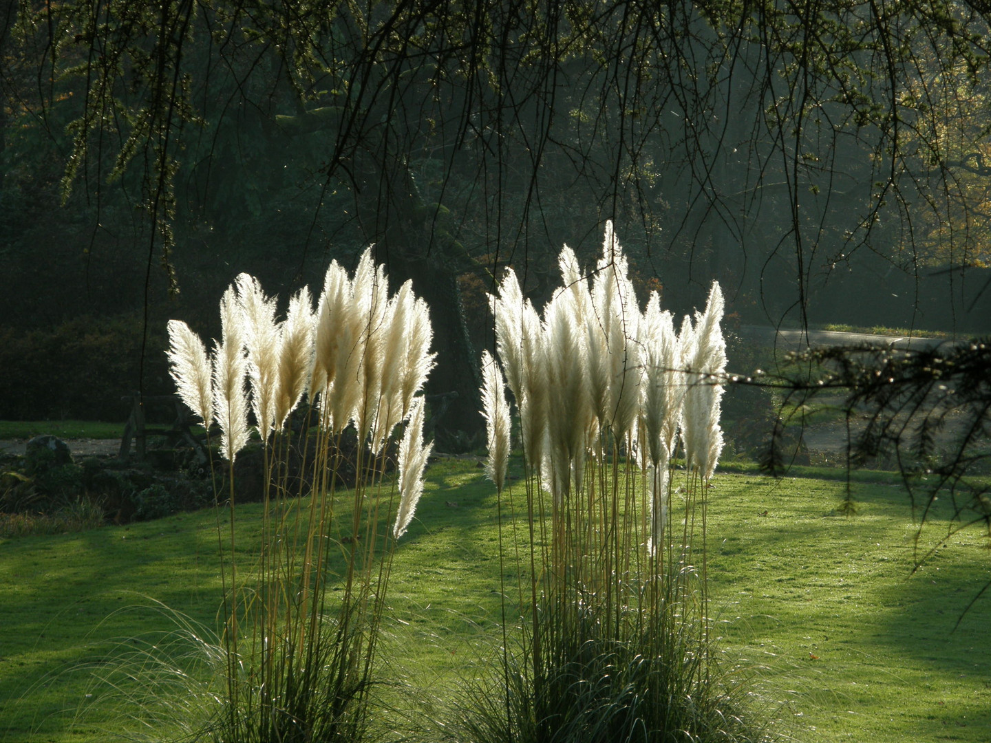 Soleil d'automne - parc de la Grange/Genève