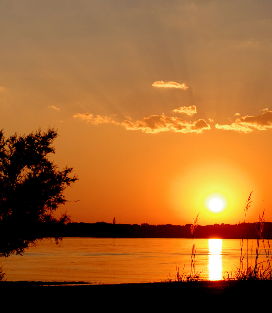 Soleil d'automne sur l'étang ......