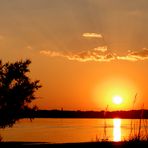 Soleil d'automne sur l'étang ......