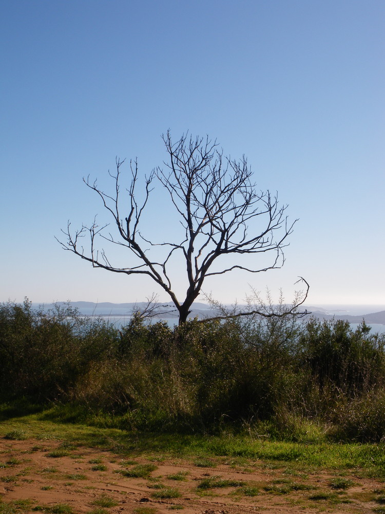 soleil de janvier