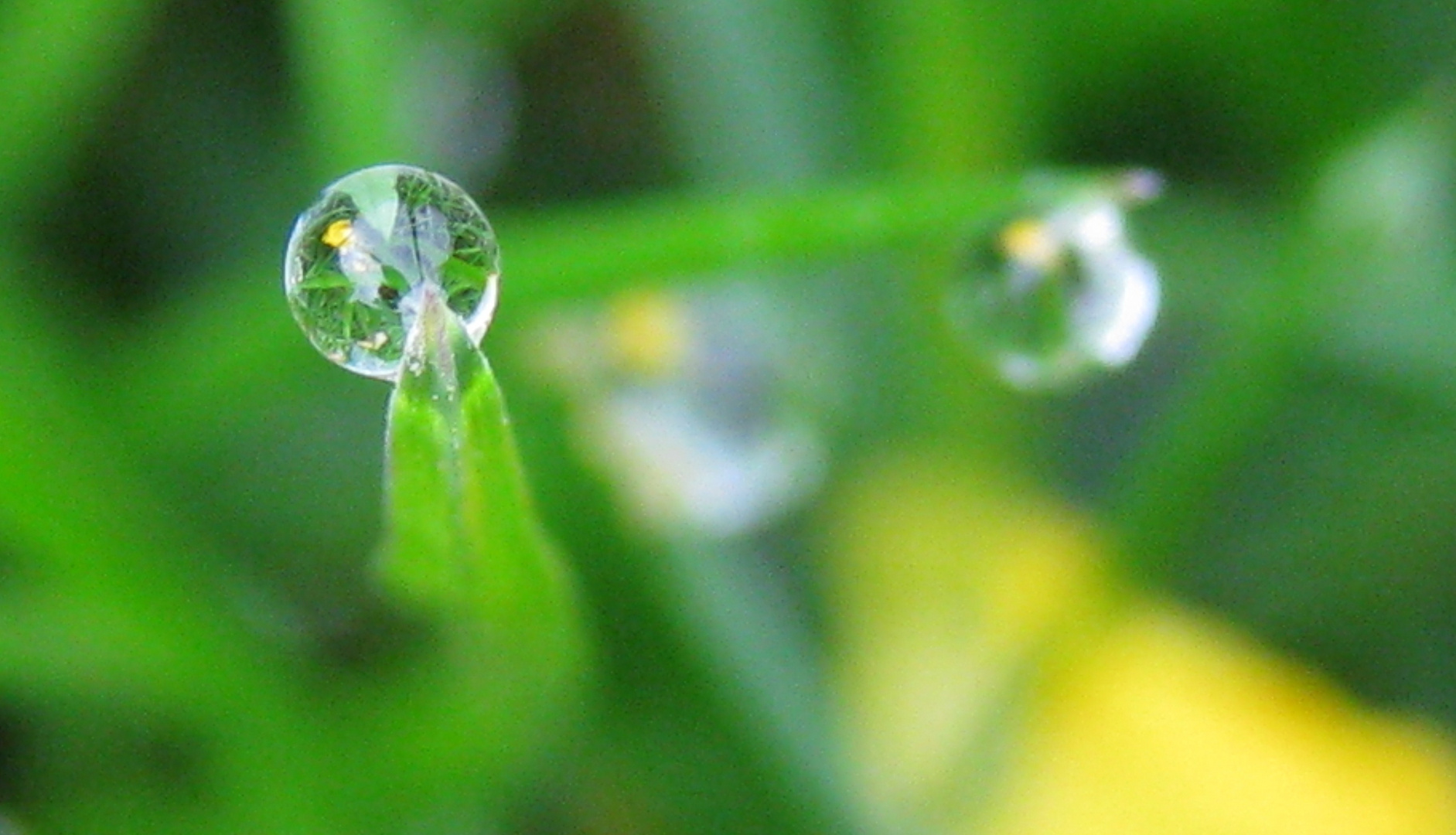 soleil d'eau de pluie