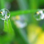 soleil d'eau de pluie