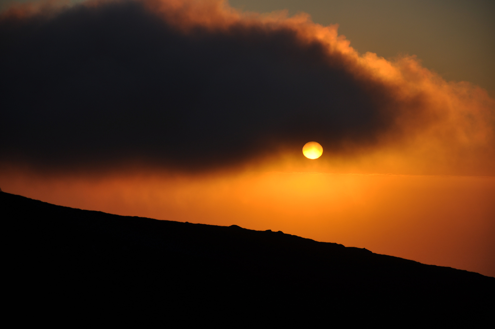 Soleil des Lofotens