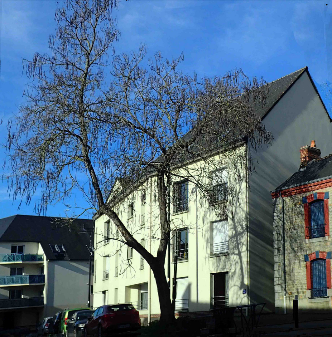 soleil d'hiver en Bretagne