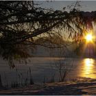 Soleil d'hiver - Lac de Michelbach