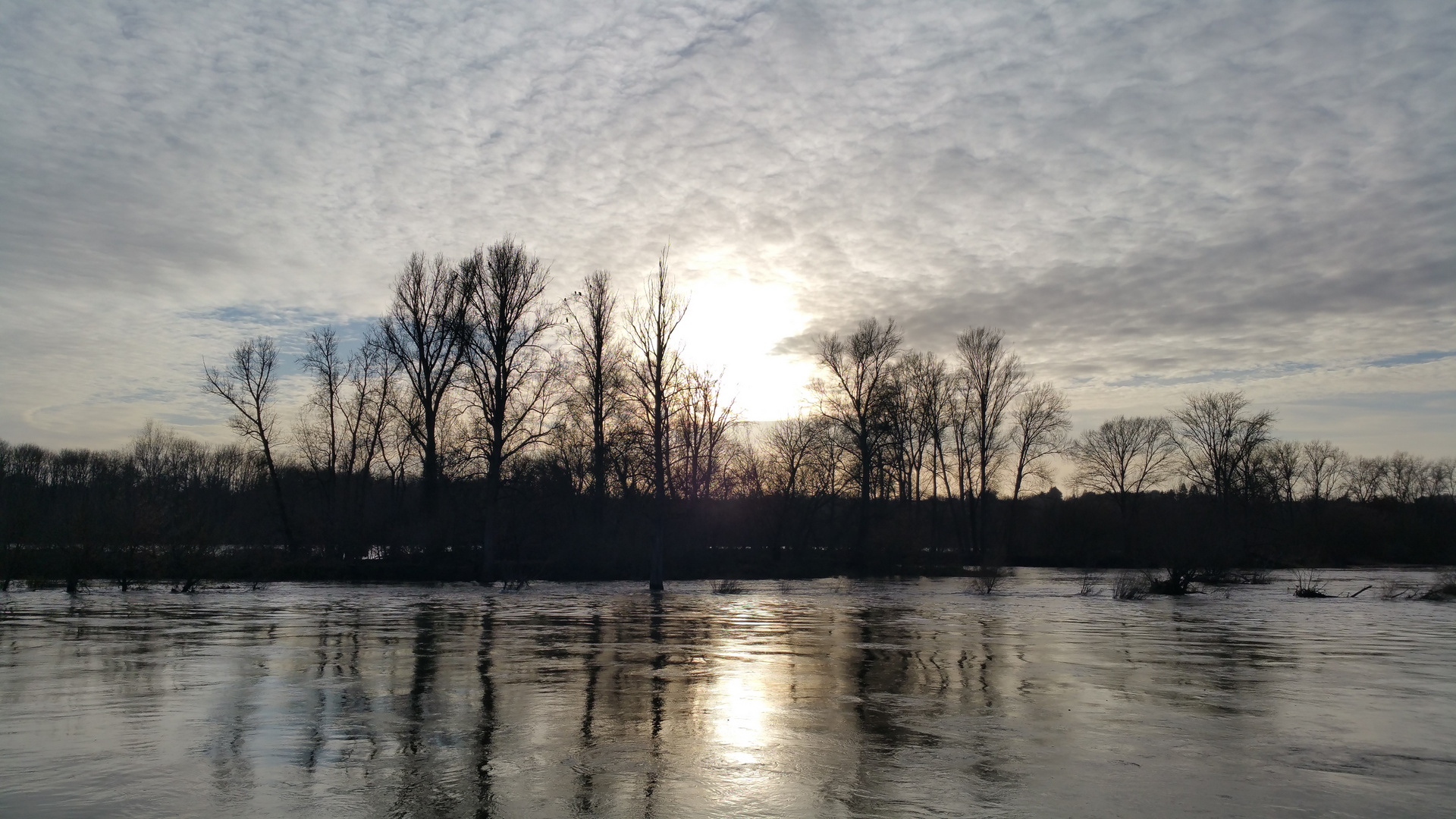 Soleil d'hiver sur la Loire
