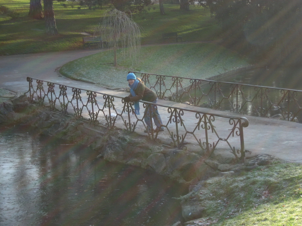 SOLEIL D'HIVER SUR LE PONT