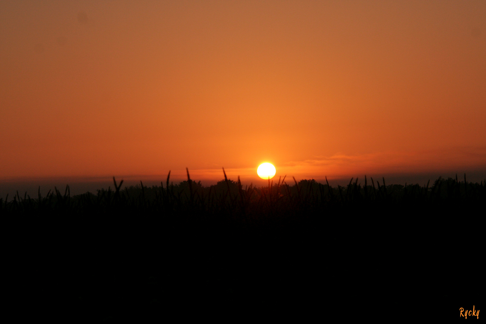 Soleil du matin...