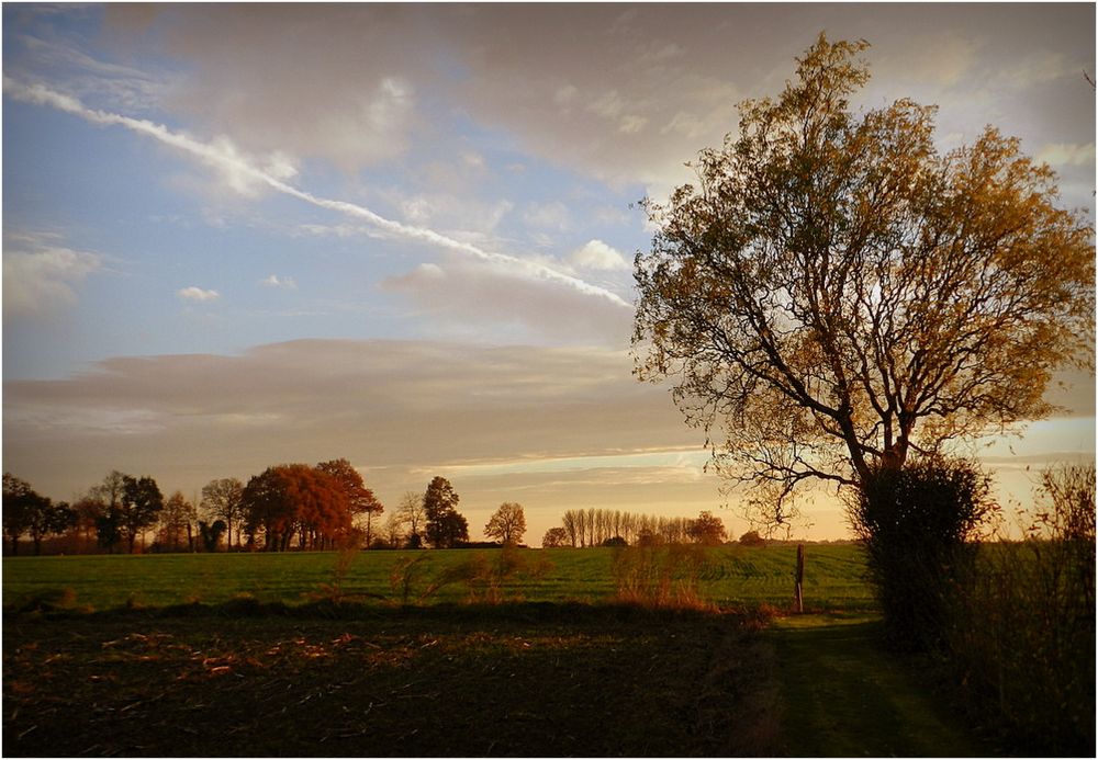 soleil du soir