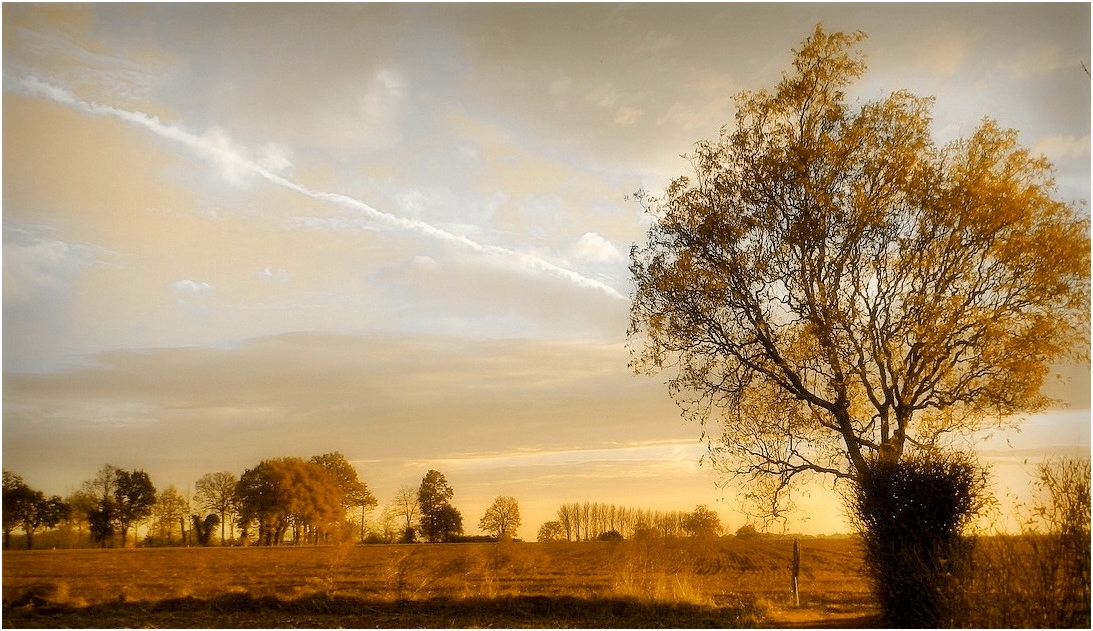 soleil du soir photo et image | paysages, paysages de campagne ...