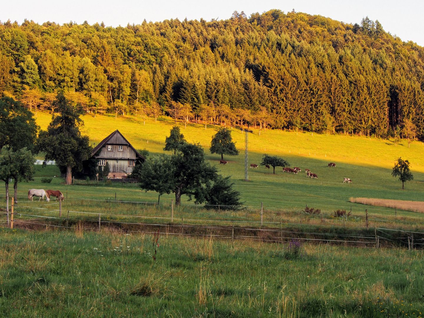 Soleil Emplacement