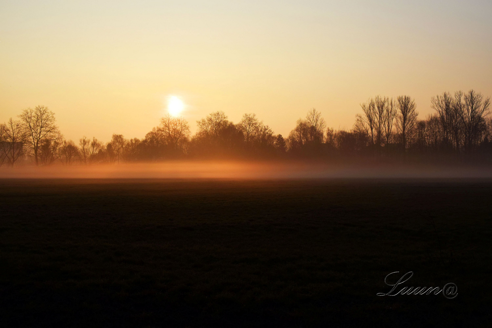 Soleil et brume