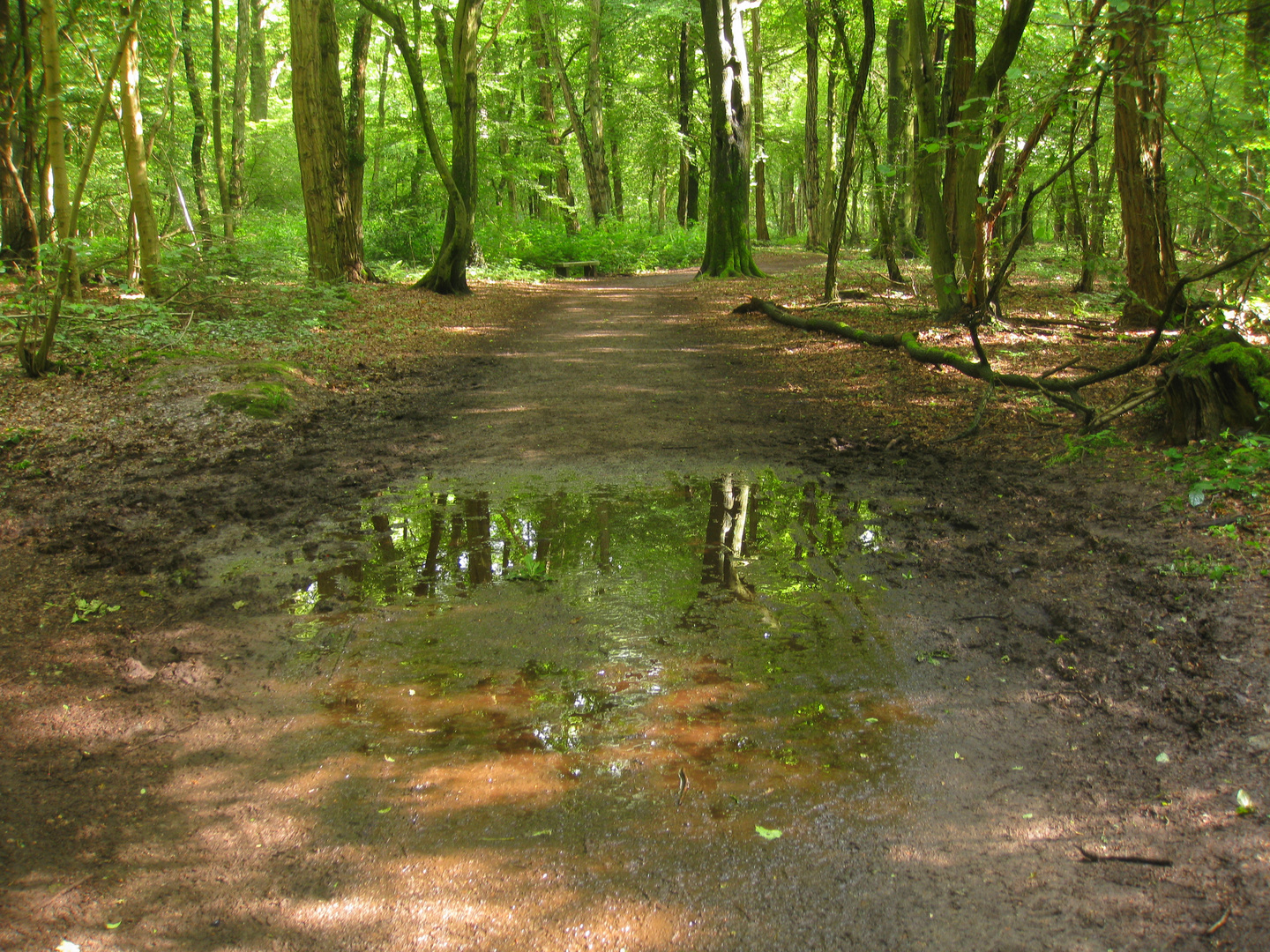 soleil et pluie en alternance, les reflets entrent dans la danse