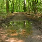 soleil et pluie en alternance, les reflets entrent dans la danse