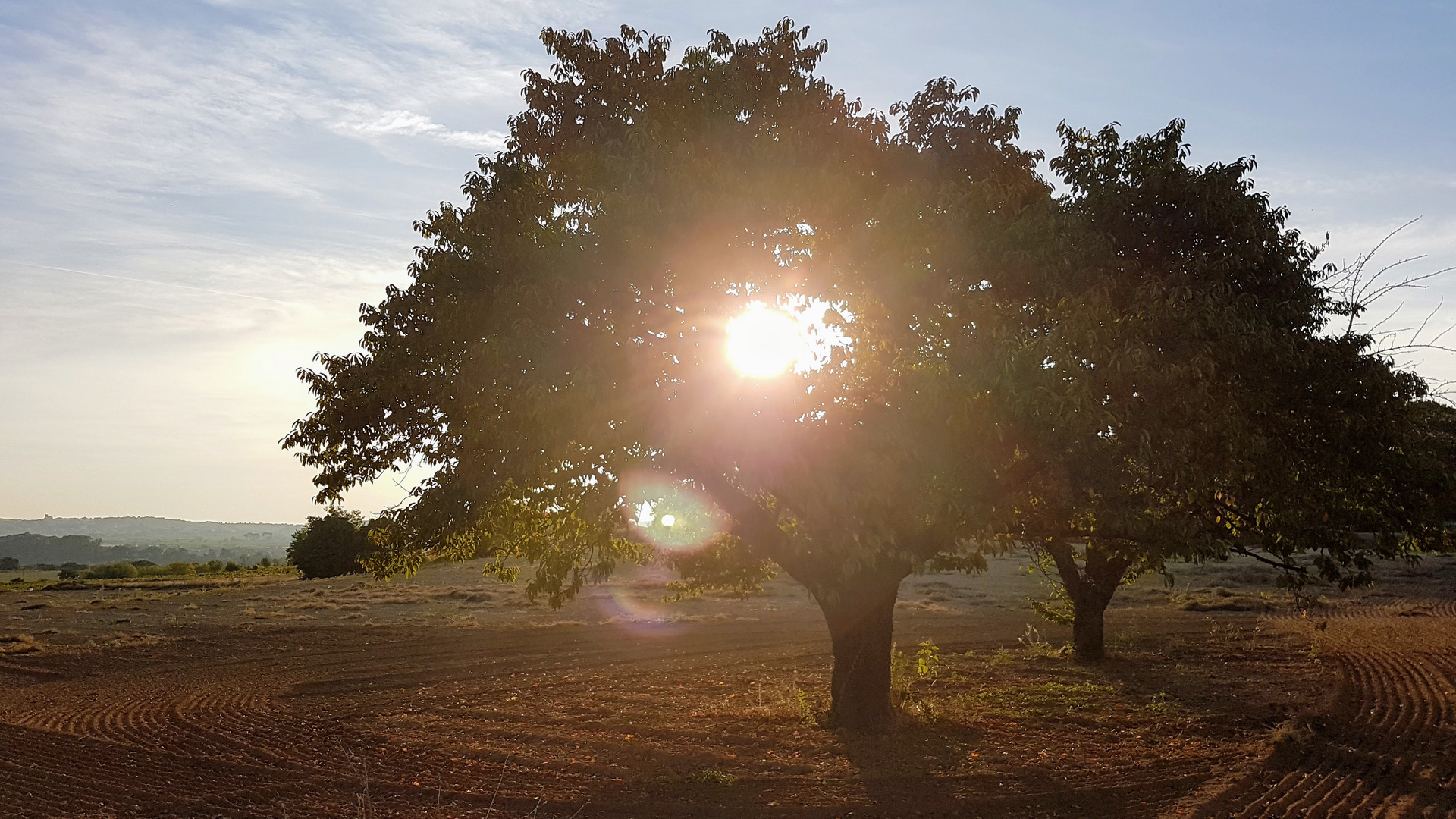 Soleil Levant Photo Et Image Divers La Nature Simplement Nature Images Fotocommunity Soleil Levant Photo Et Image Divers La Nature Simplement Nature Images Fotocommunity