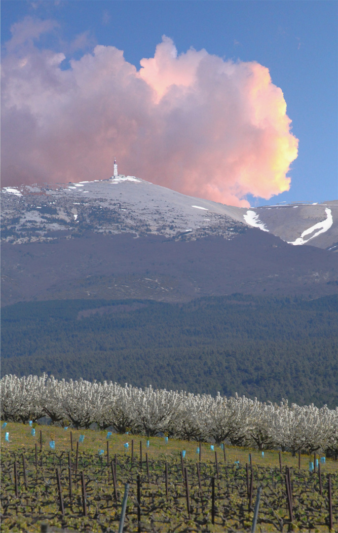 SOLEIL LEVANT SUR LE VENTOUX