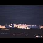 Soleil rasant sur icebergs