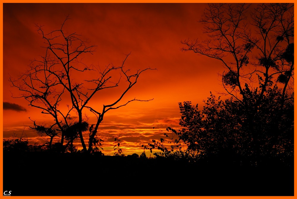 soleil rouge du soir asséche la mare