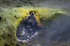 Solfatara 1 - Isola Di Vulcano.